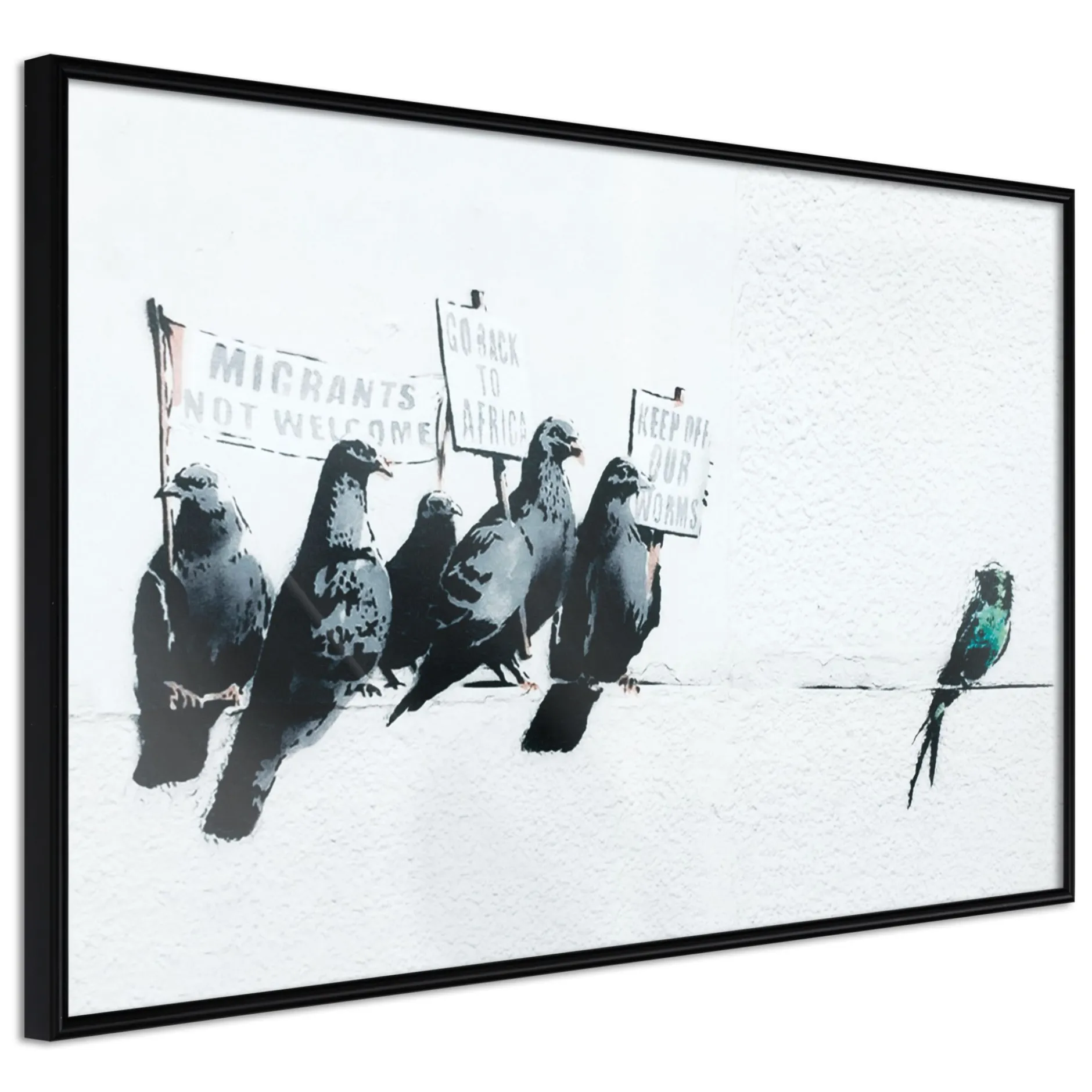 Poster 'Xenophobic Pigeons'