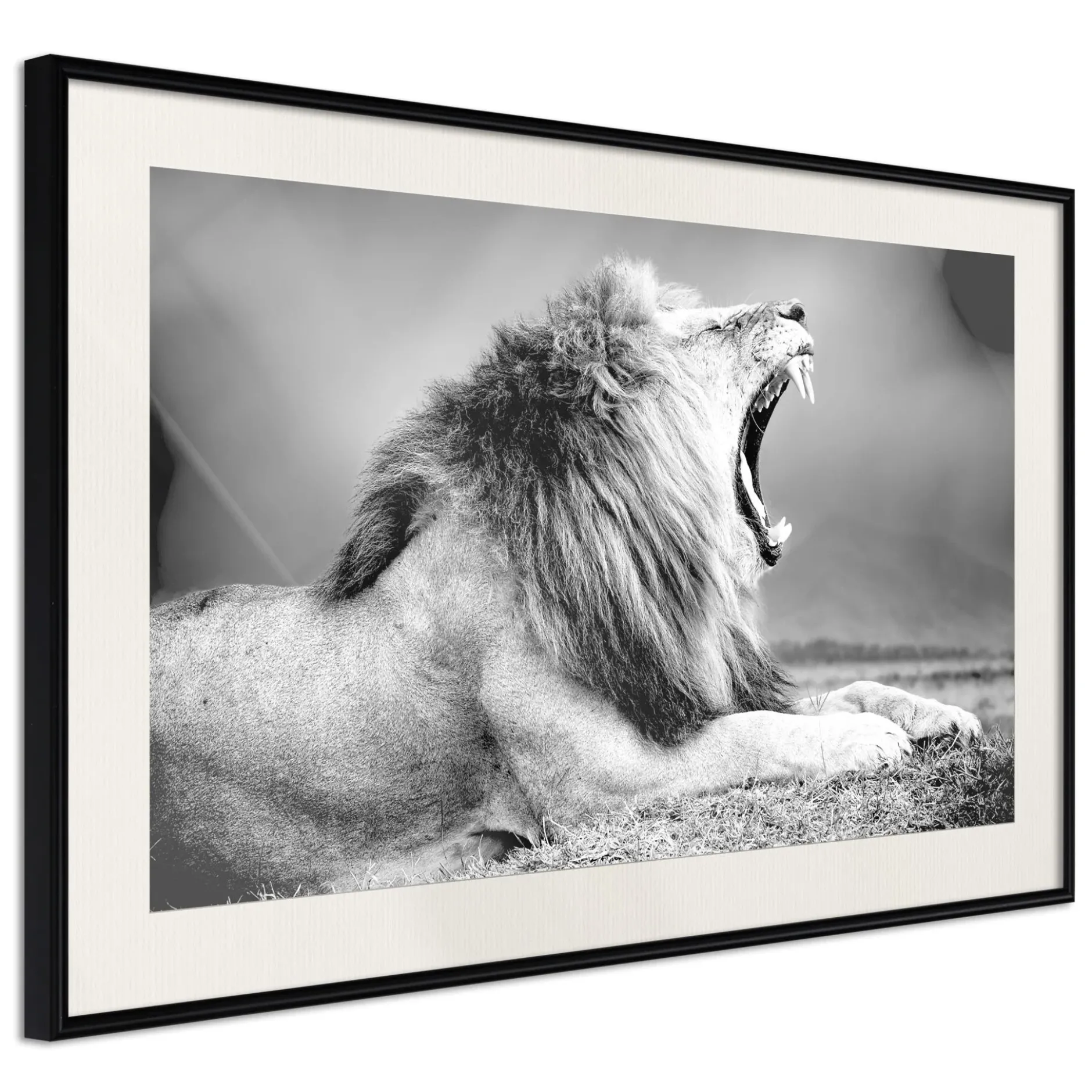Poster 'Yawning Lion'