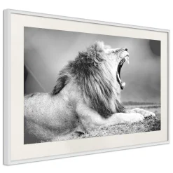 Poster 'Yawning Lion'