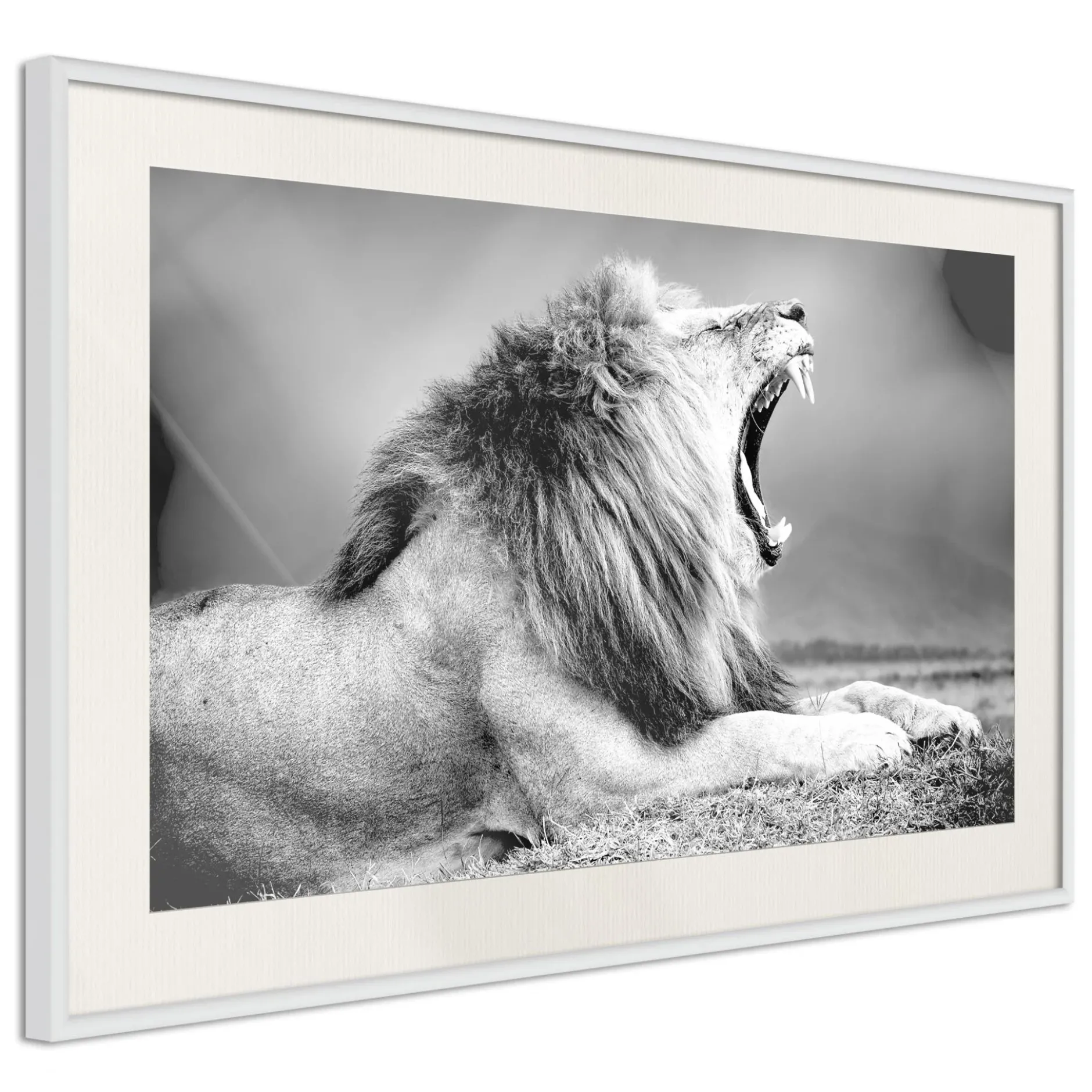 Poster 'Yawning Lion'