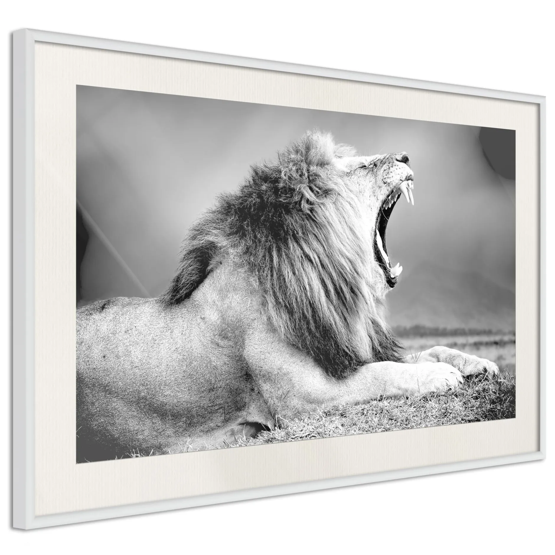 Poster 'Yawning Lion'