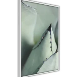 Poster 'Young Leaf of Agave'