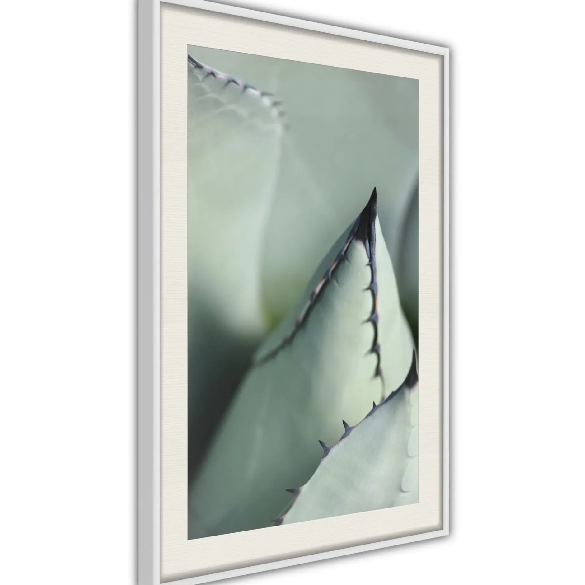Poster 'Young Leaf of Agave'