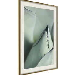 Poster 'Young Leaf of Agave'