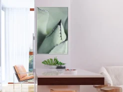 Poster 'Young Leaf of Agave'