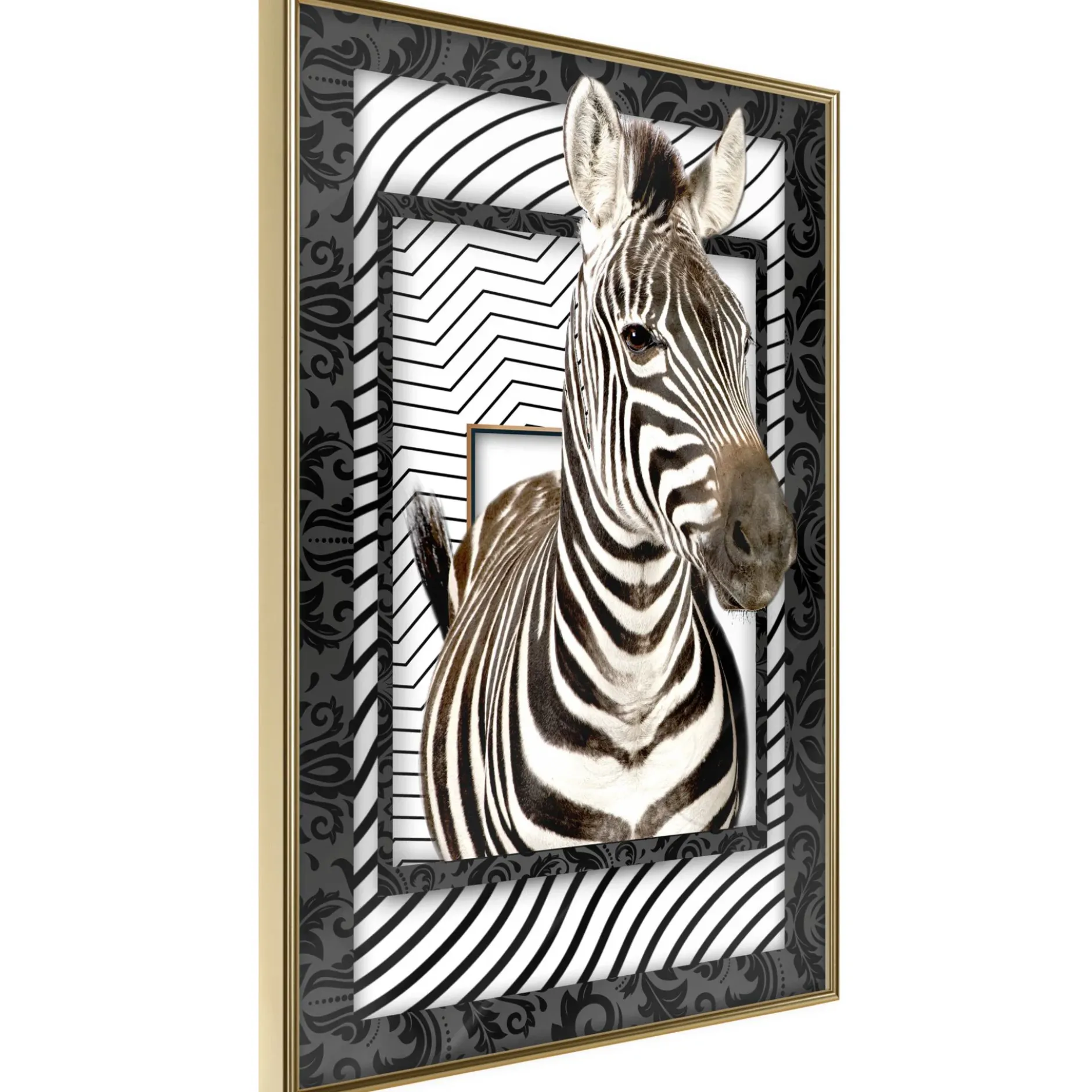 Poster 'Zebra in the Frame'