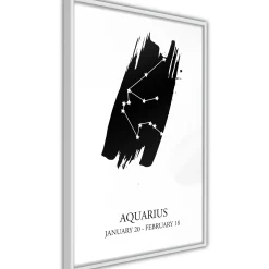 Poster 'Zodiac: Aquarius I'