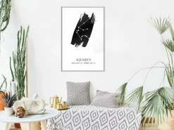 Poster 'Zodiac: Aquarius I'