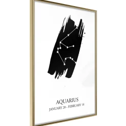 Poster 'Zodiac: Aquarius I'