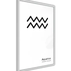 Poster 'Zodiac: Aquarius II'