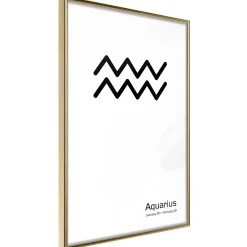 Poster 'Zodiac: Aquarius II'