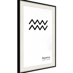 Poster 'Zodiac: Aquarius II'