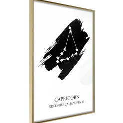 Poster 'Zodiac: Capricorn I'