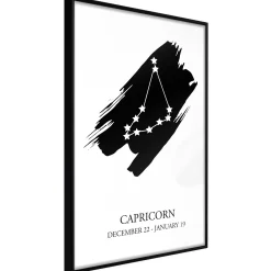 Poster 'Zodiac: Capricorn I'