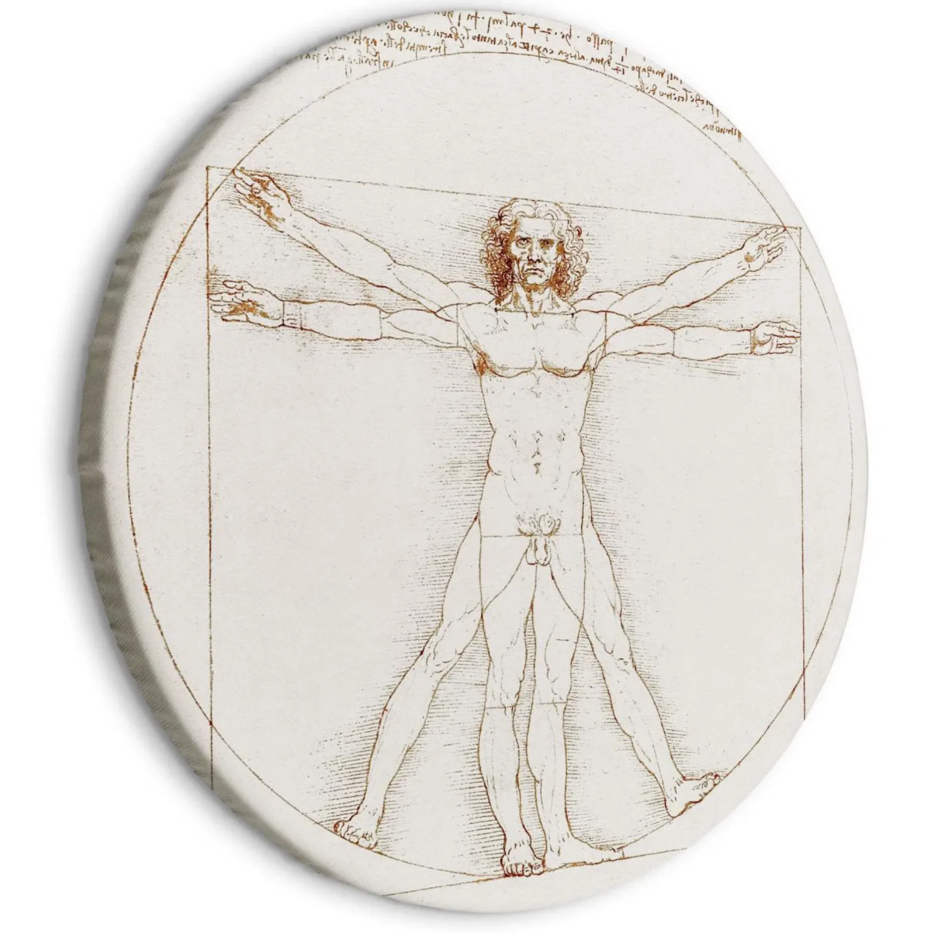 Rundes Bild 'Da Vinci's Vitruvian'