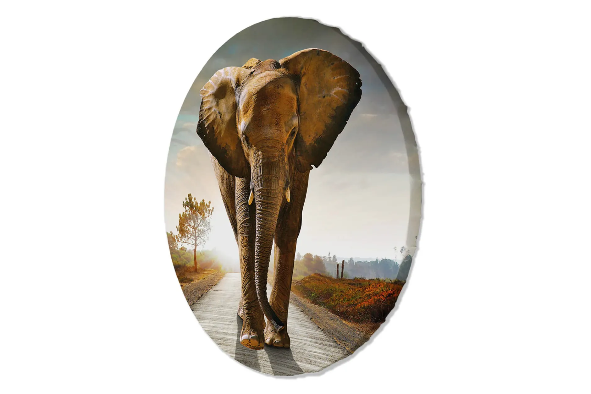 Rundes Bild 'Gentle Giant'