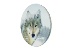 Rundes Bild 'Winter Sentinel'