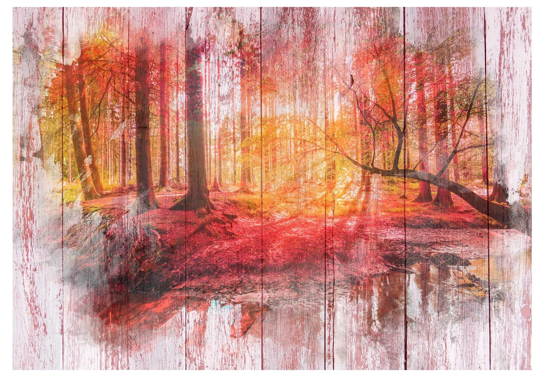 Selbstklebende Tapete 'Autumnal Forest'