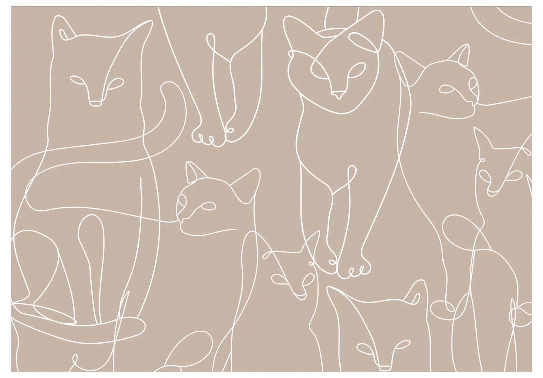Selbstklebende Tapete 'Cat Habits - Third Variant'