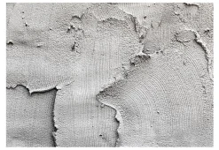 Selbstklebende Tapete 'Concrete nothingness'