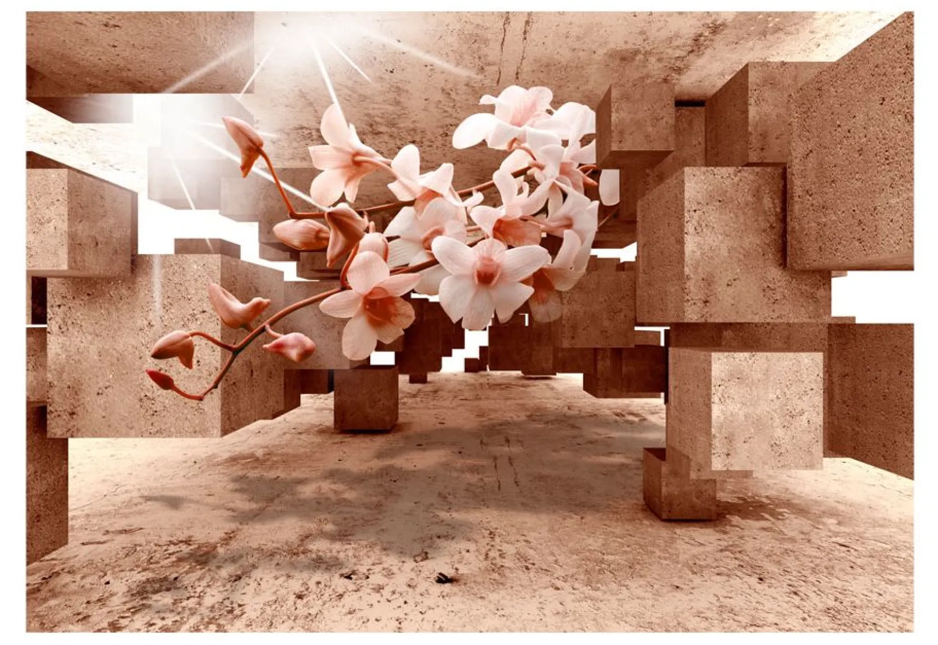 Selbstklebende Tapete 'Curiosities of Nature'