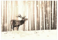 Selbstklebende Tapete 'Deer in the Snow (Sepia)'