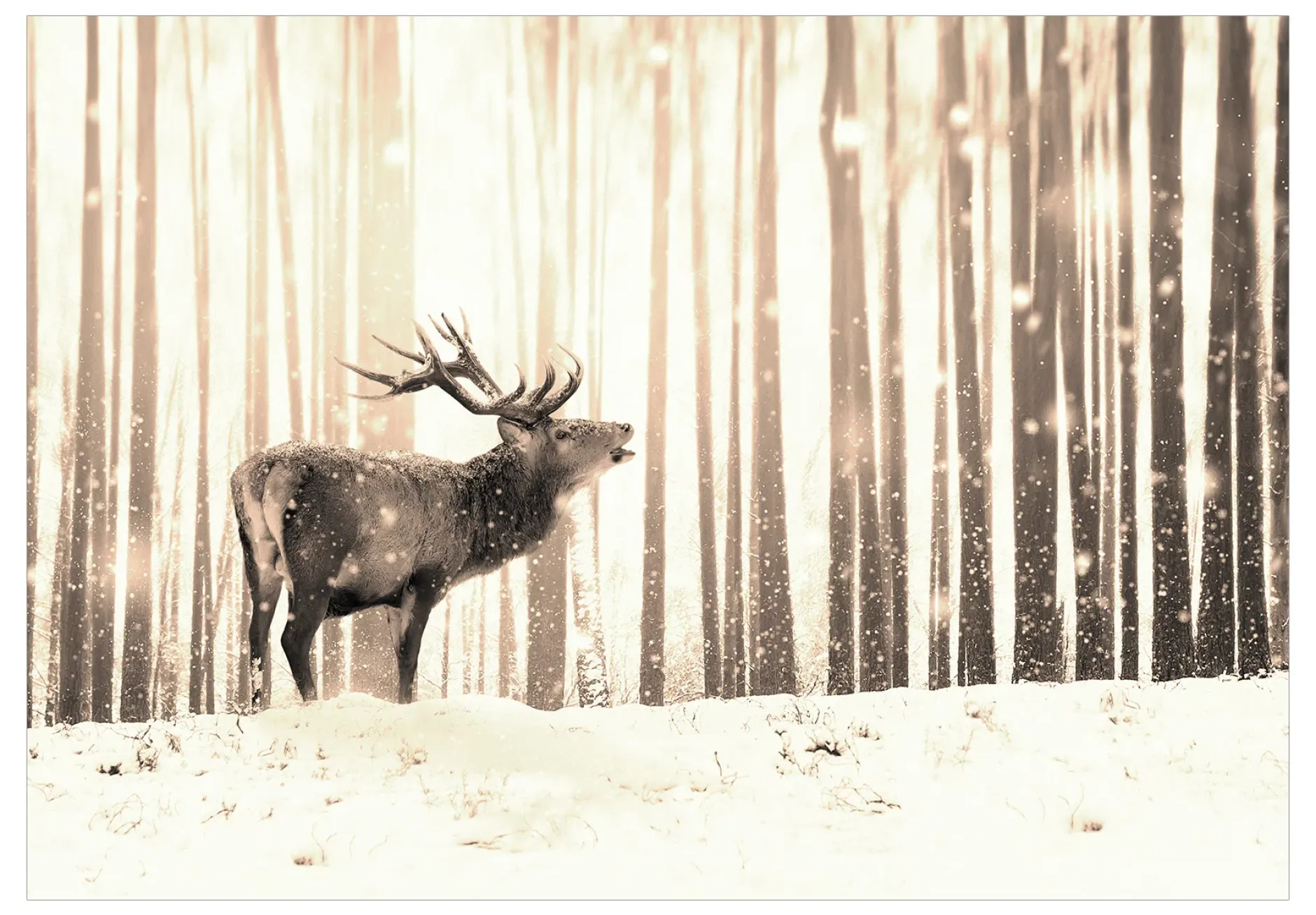 Selbstklebende Tapete 'Deer in the Snow (Sepia)'