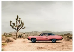 Selbstklebende Tapete 'Desert California'