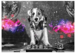 Selbstklebende Tapete 'DJ Dog'