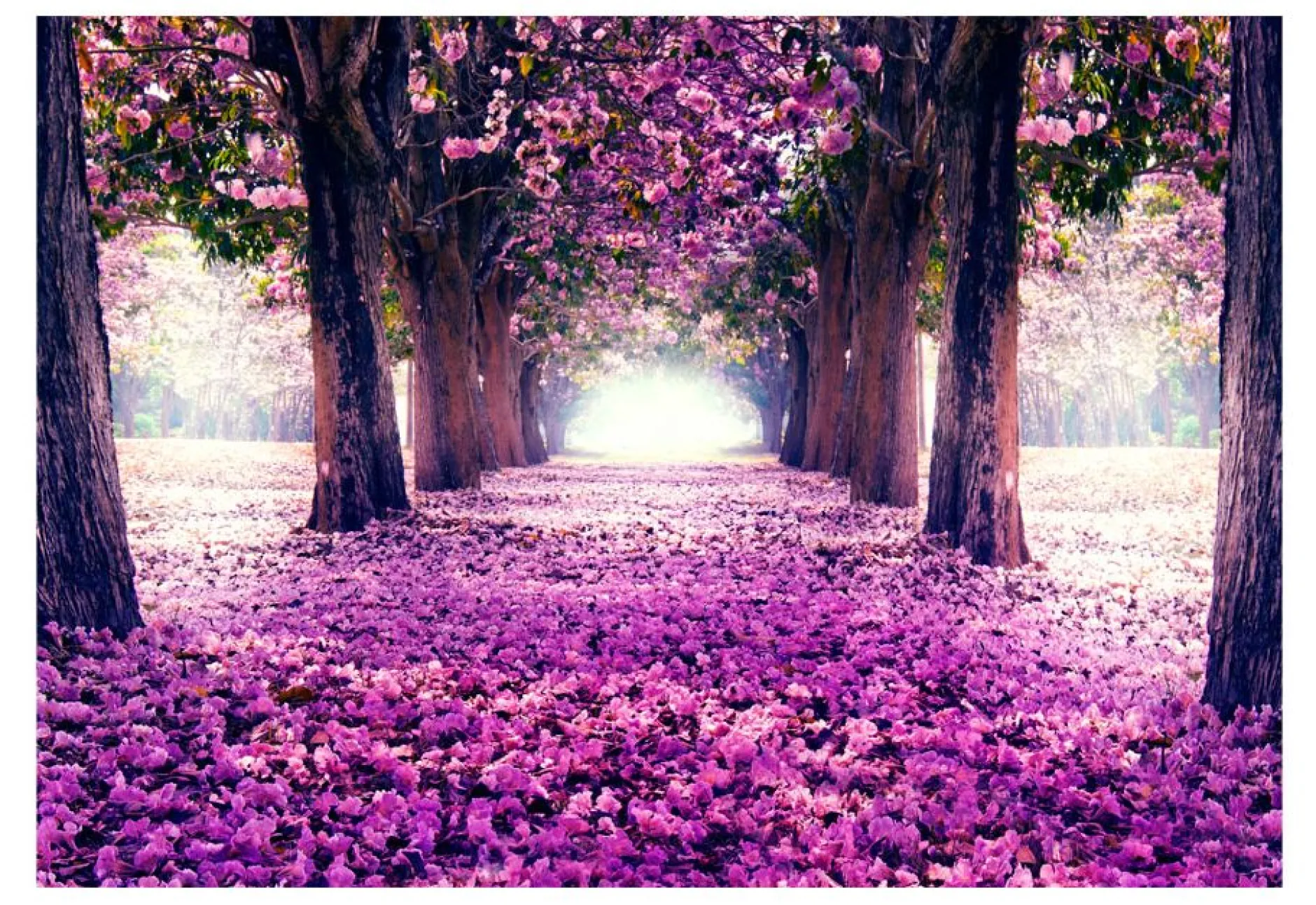 Selbstklebende Tapete 'Flower road'