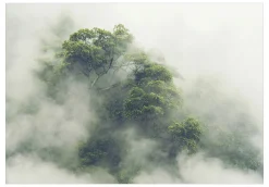 Selbstklebende Tapete 'Foggy Amazon'