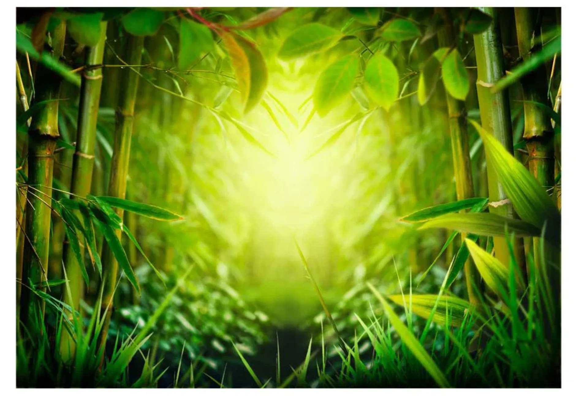 Selbstklebende Tapete 'Forest fairy'