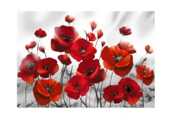 Selbstklebende Tapete 'Glowing poppies'