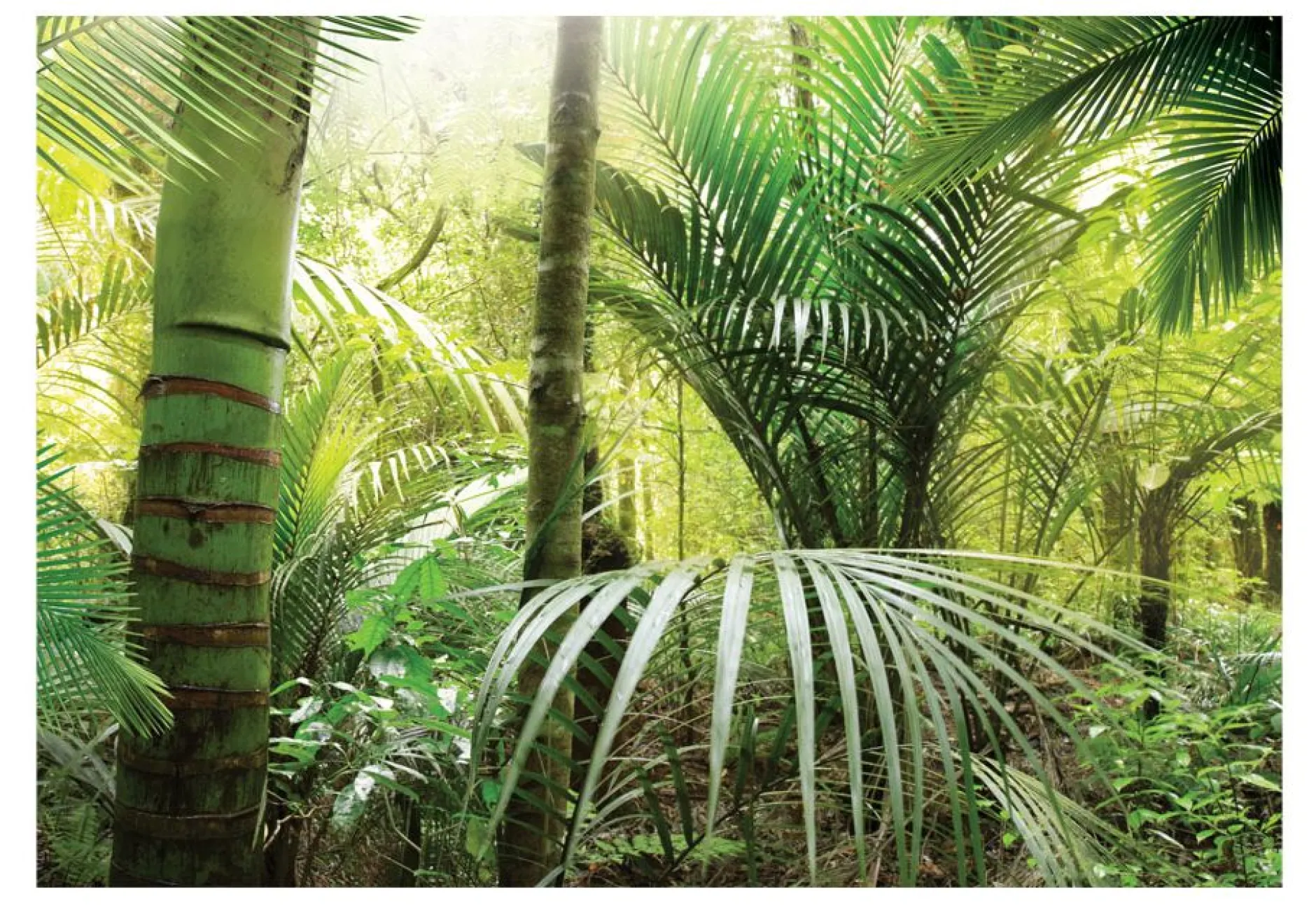 Selbstklebende Tapete 'Green alley'