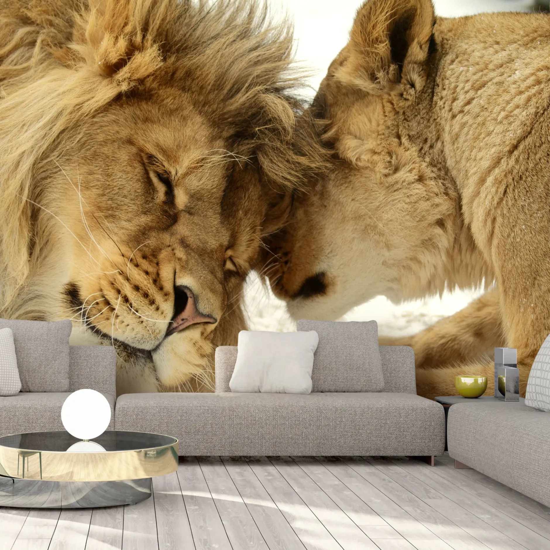 Selbstklebende Tapete 'Lion Tenderness'