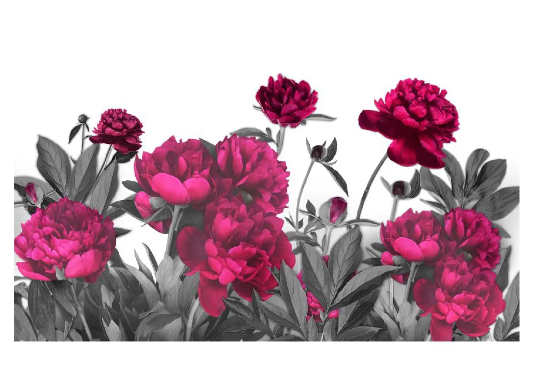 Selbstklebende Tapete 'Lush meadow'