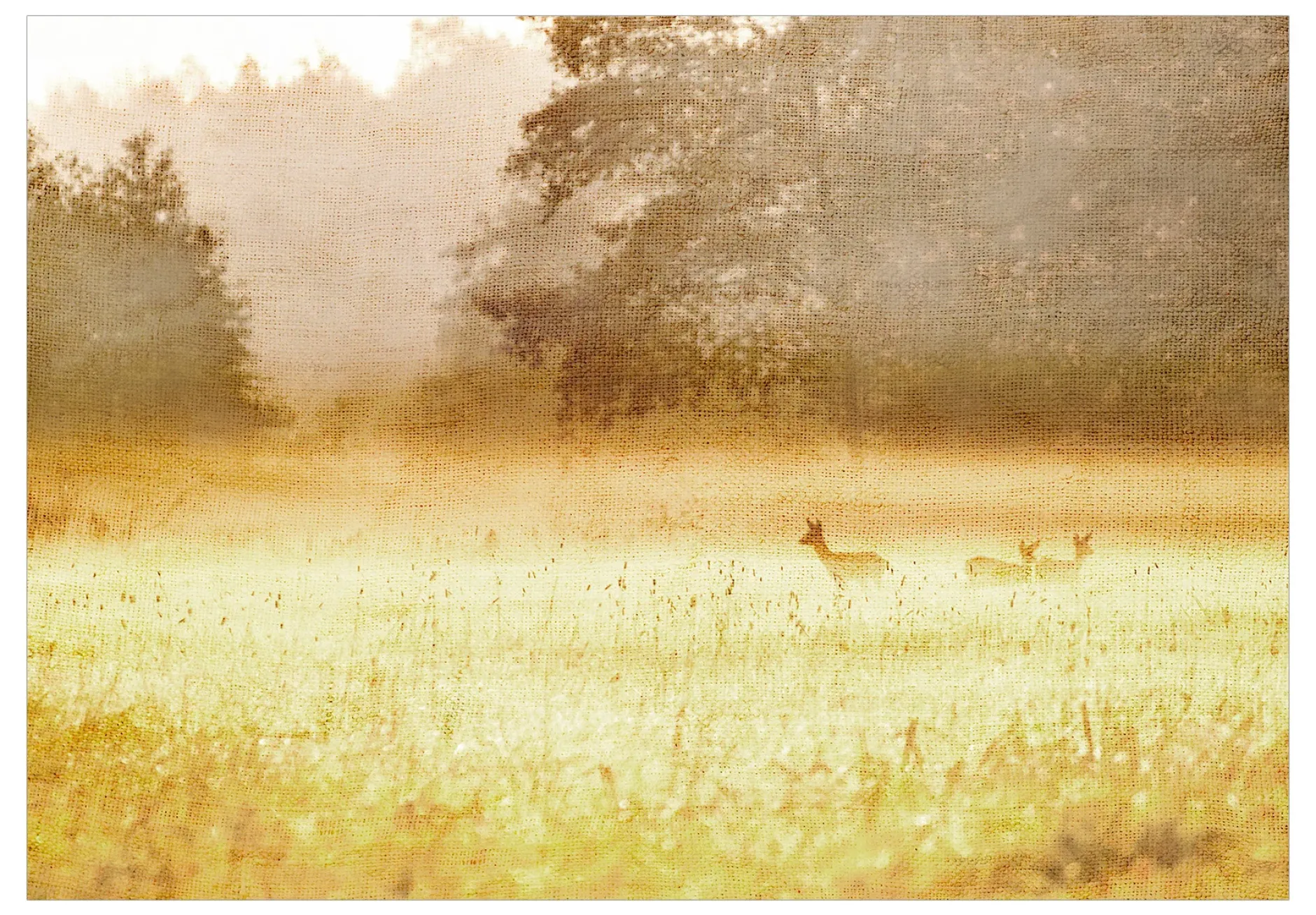 Selbstklebende Tapete 'Morning Dew'