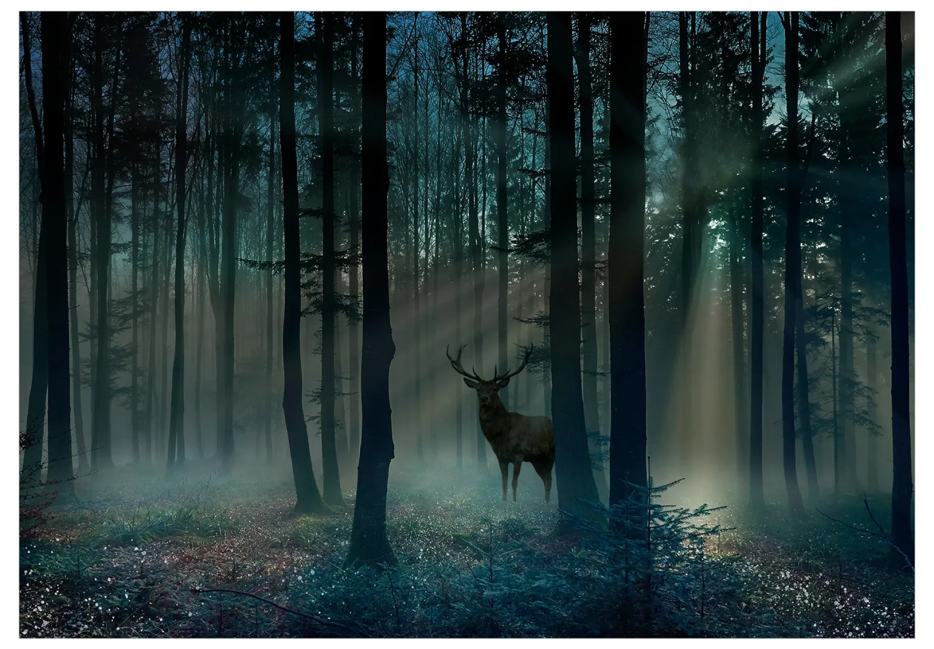 Selbstklebende Tapete 'Mystical Forest - Third Variant'