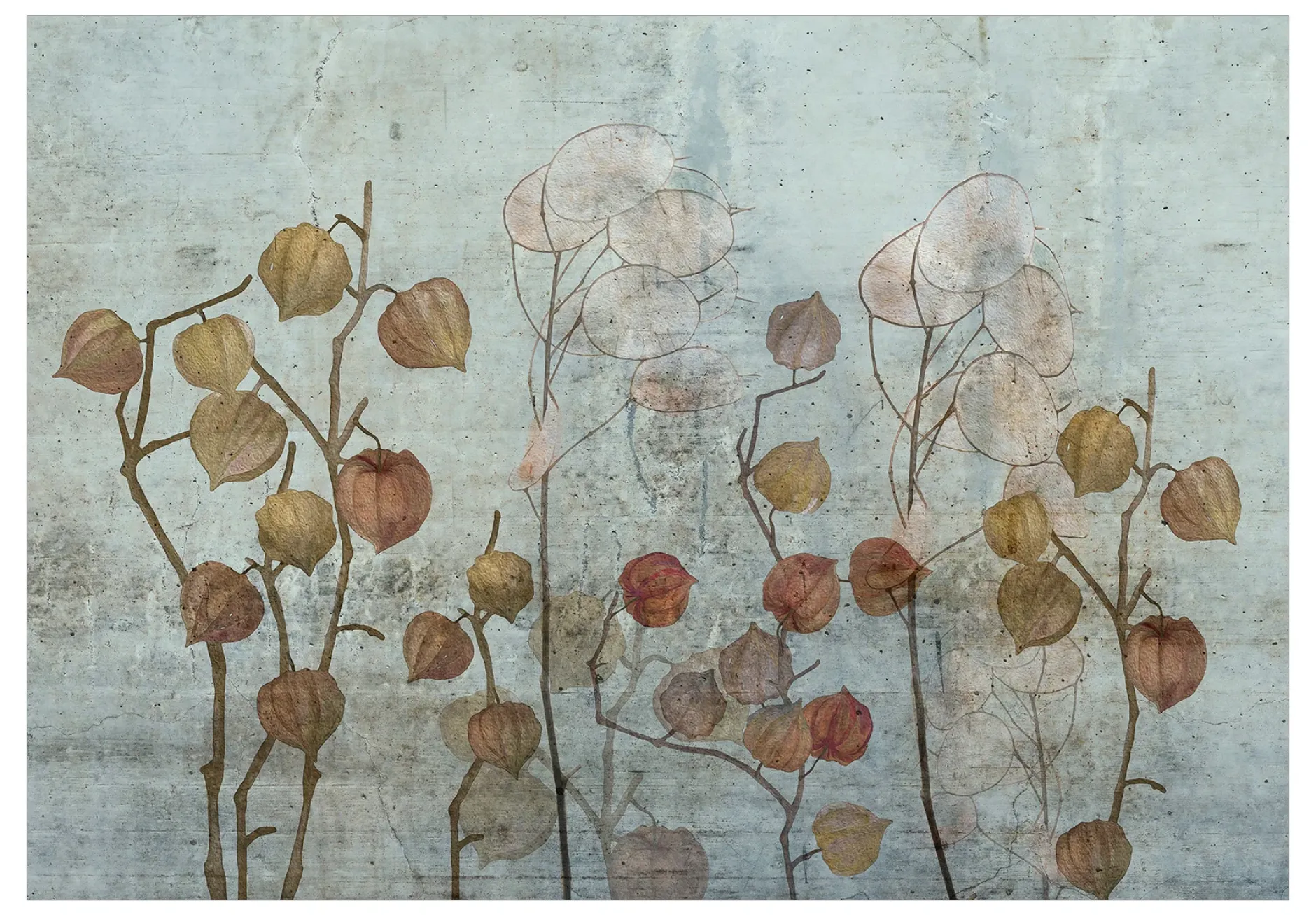 Selbstklebende Tapete 'Painted Lunaria'