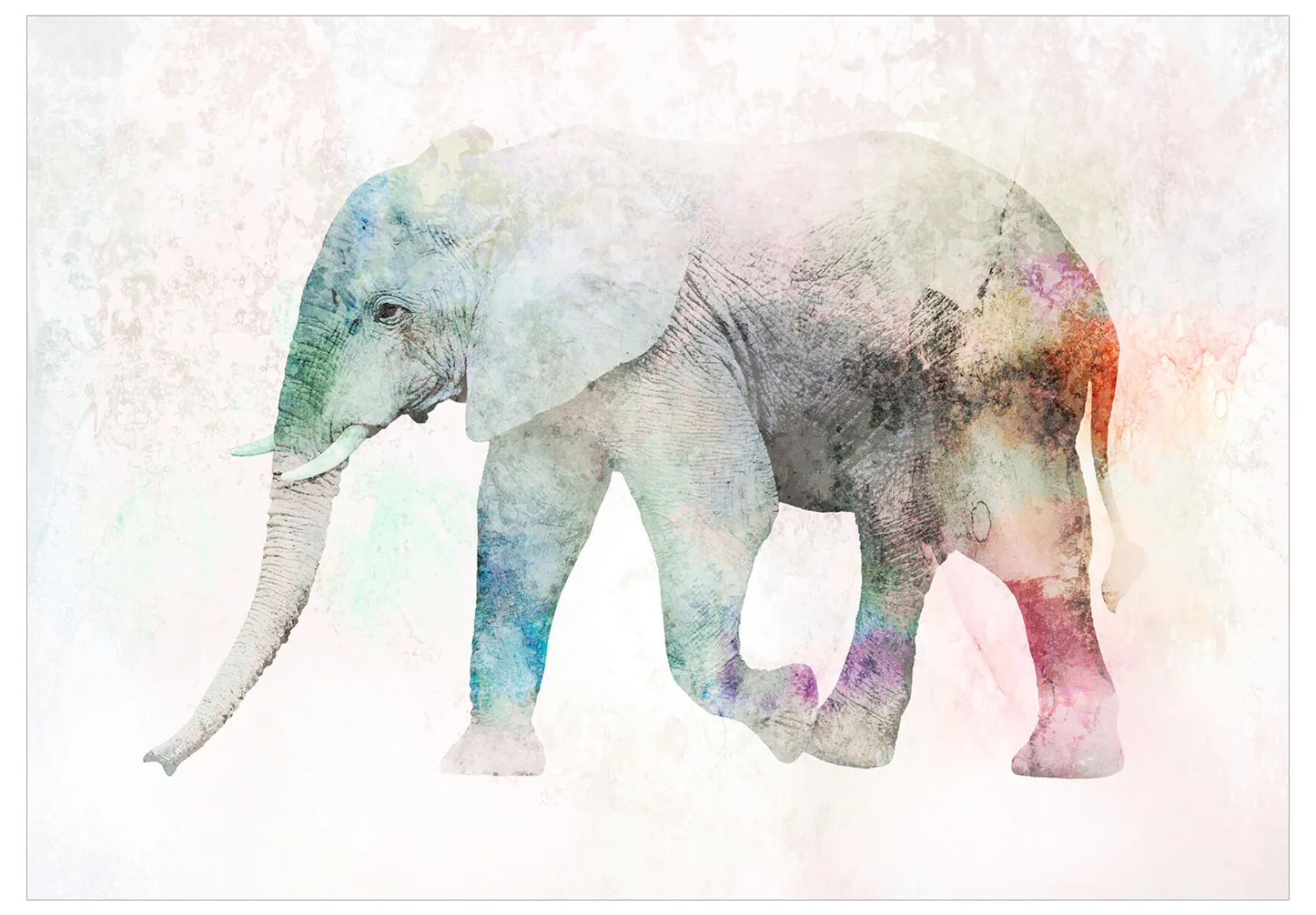 Selbstklebende Tapete 'Painted Elephant'