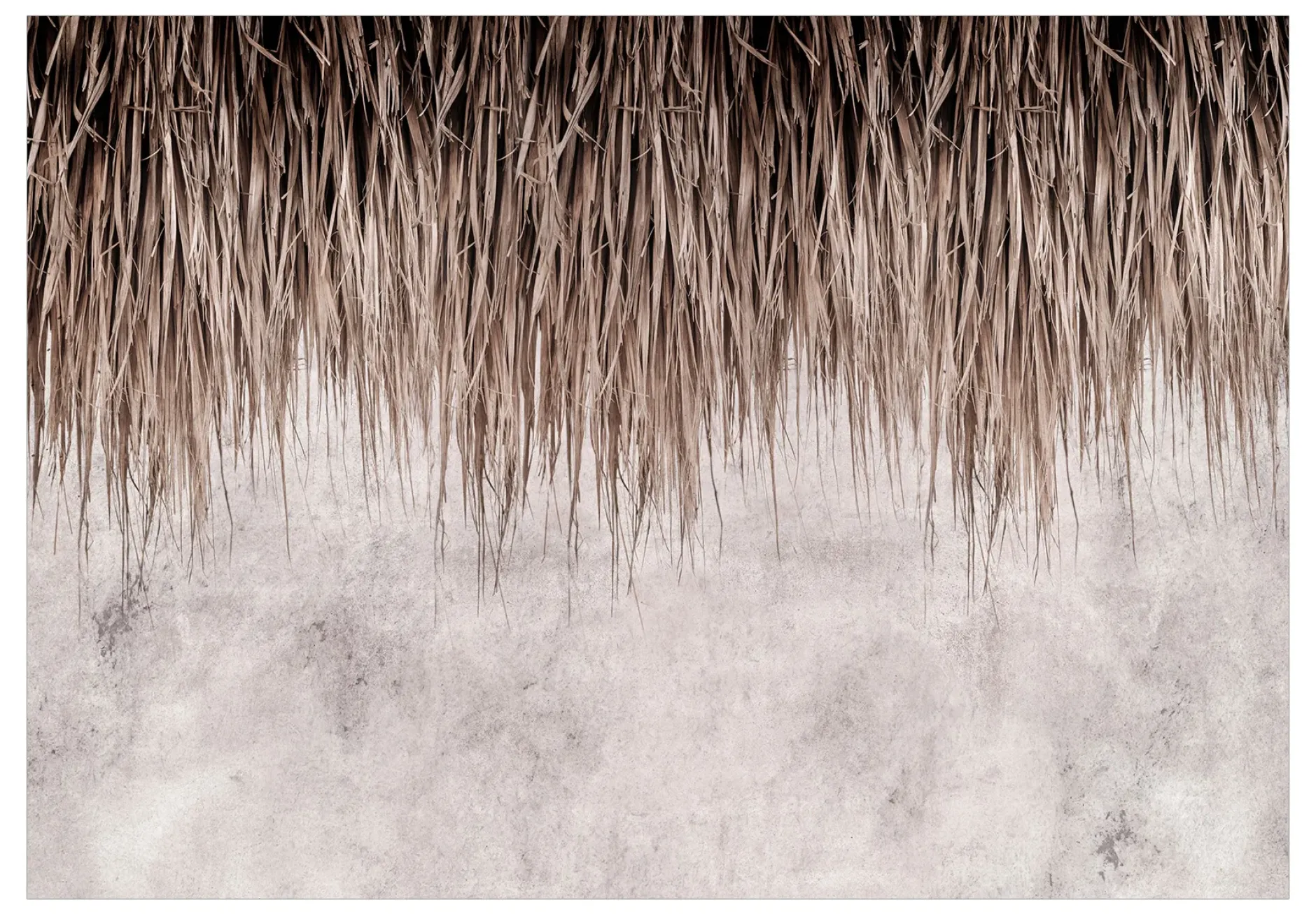 Selbstklebende Tapete 'Palm Canopy'