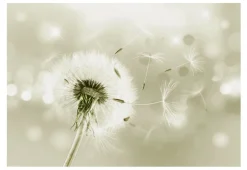 Selbstklebende Tapete 'Pilgrimage of Wind'
