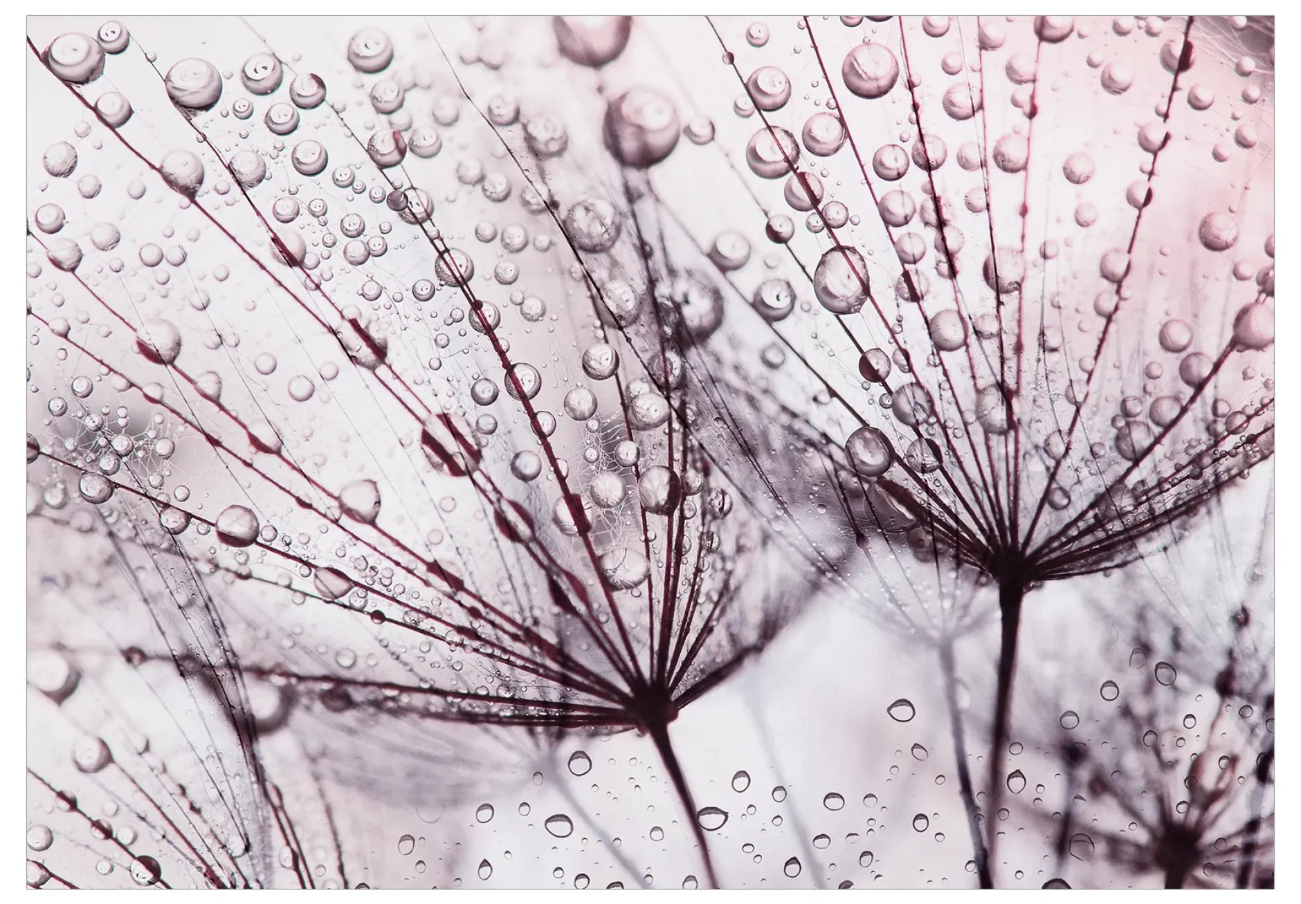 Selbstklebende Tapete 'Rainy Time'
