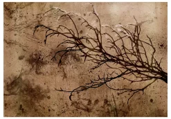 Selbstklebende Tapete 'Rickety Cherry Tree'