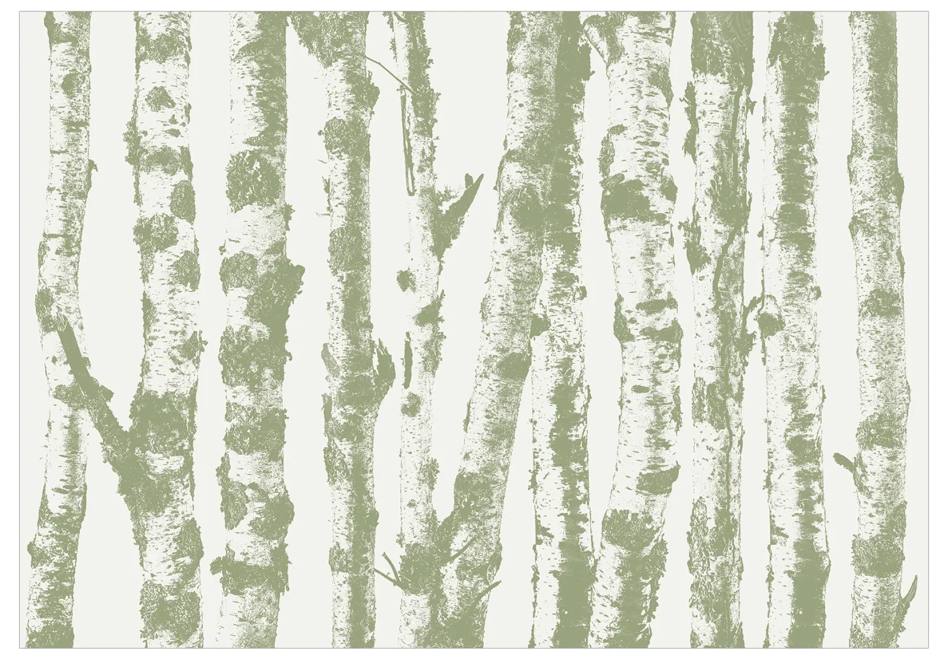 Selbstklebende Tapete 'Stately Birches - Third Variant'