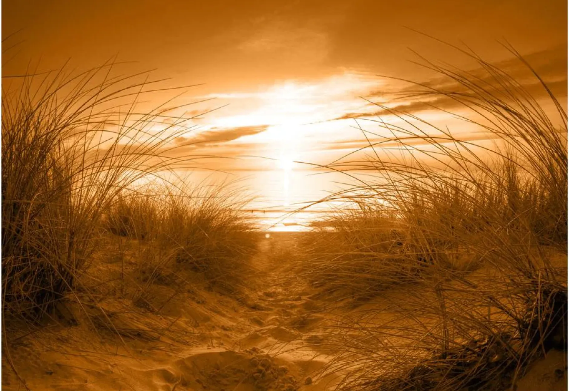Selbstklebende Tapete 'Strand (Sepia)'
