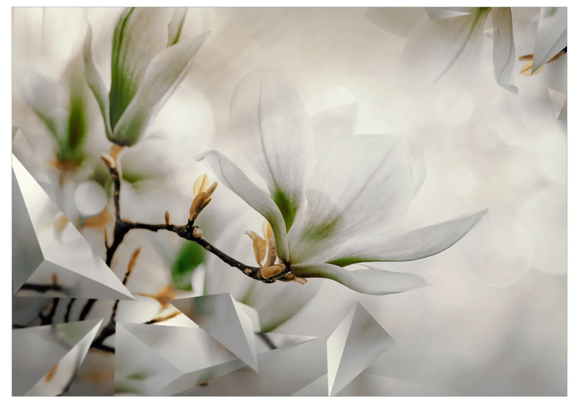 Selbstklebende Tapete 'Subtle Magnolias - Second Variant'