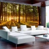 Selbstklebende Tapete 'Summer: Morning in the forest'