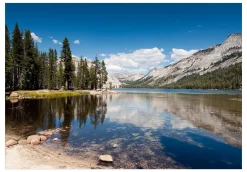 Selbstklebende Tapete 'Tenaya Lake'