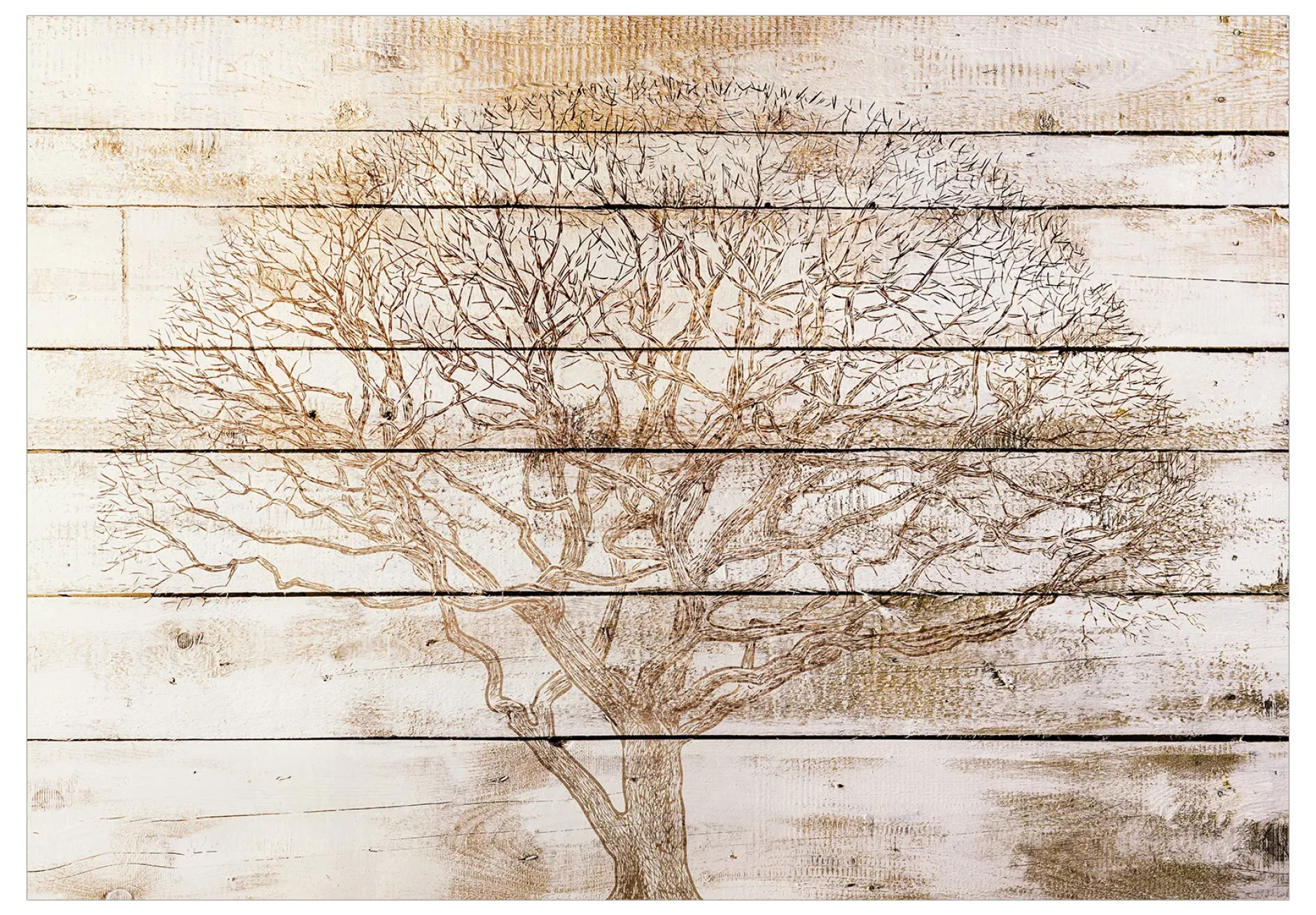 Selbstklebende Tapete 'Tree on Boards'